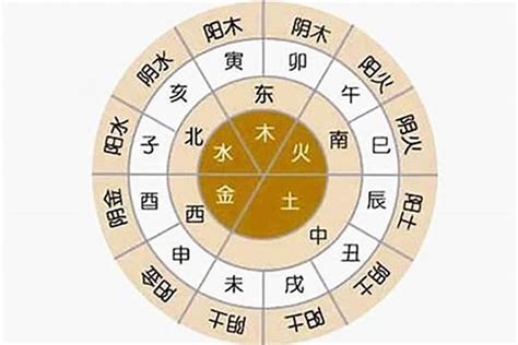 如何看八字五行|如何通过八字来确定自己的五行所属什么